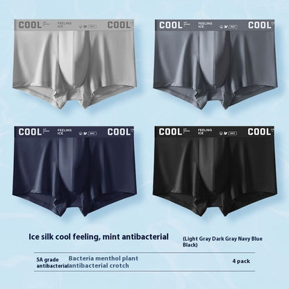 Men's Ice Silk Sports Underwear